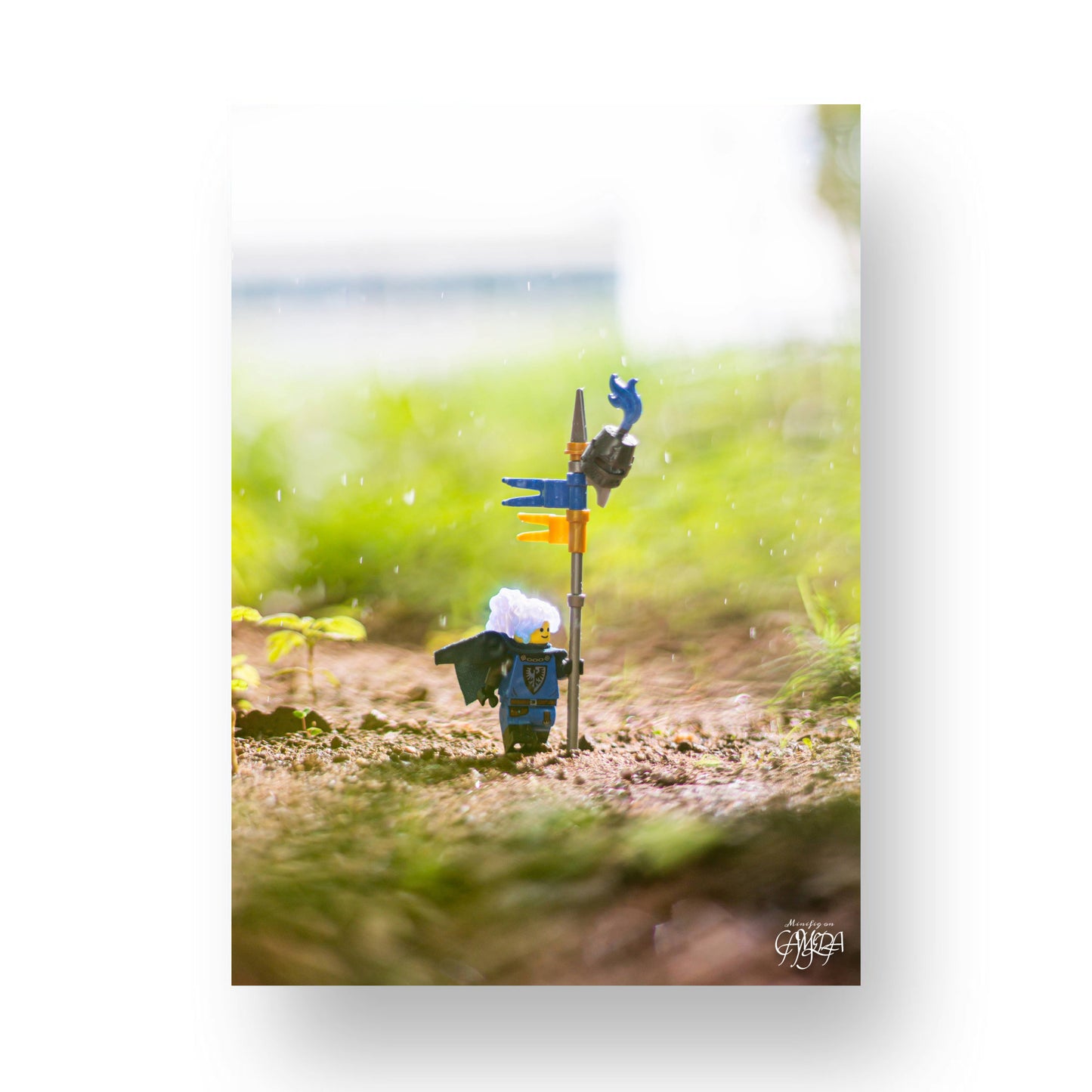 A Sunny Rainy Day - MF22