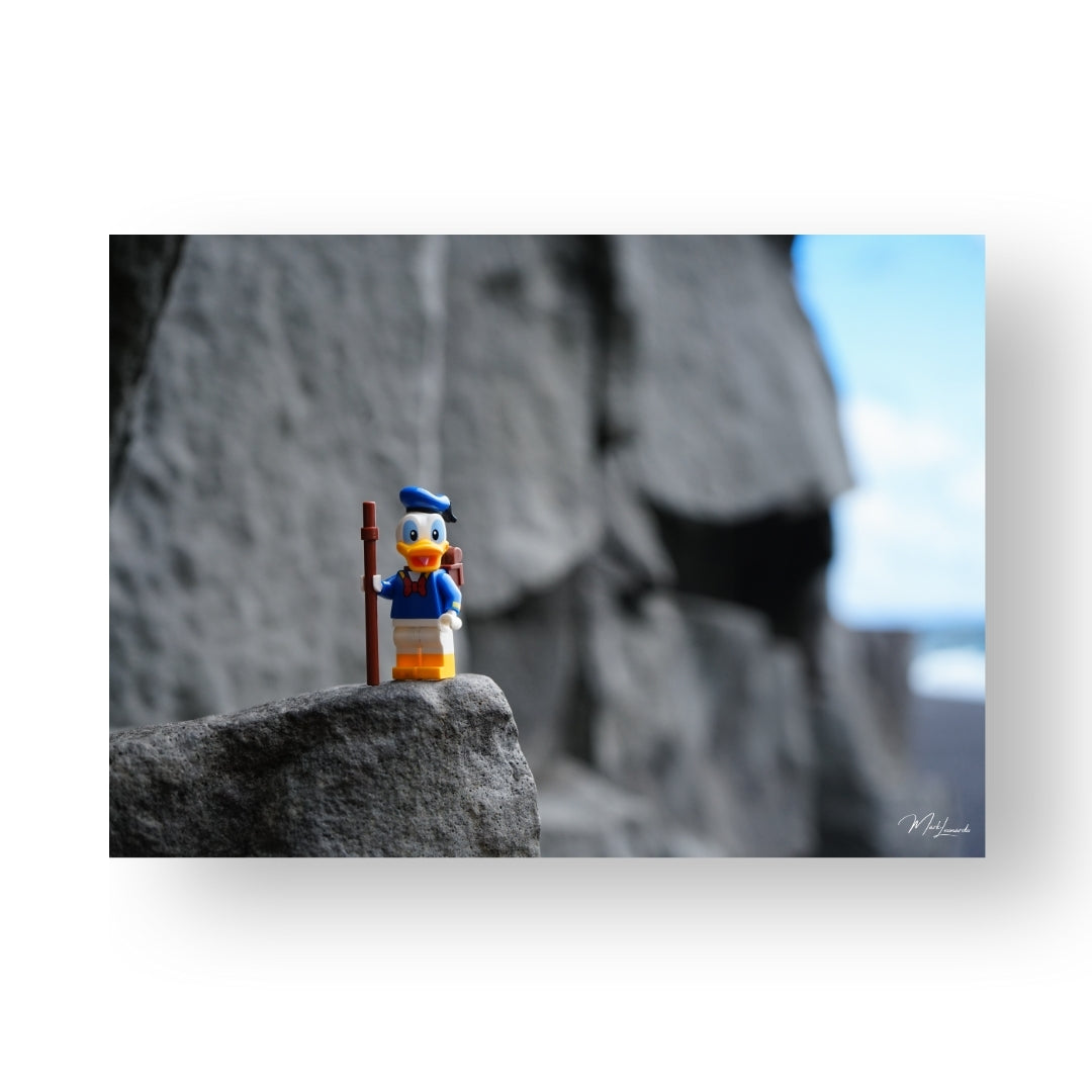 Donald the explorer - ML39