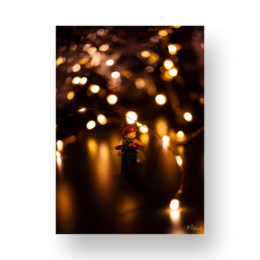 Violinist Fairylights (enlarged) - ML11B