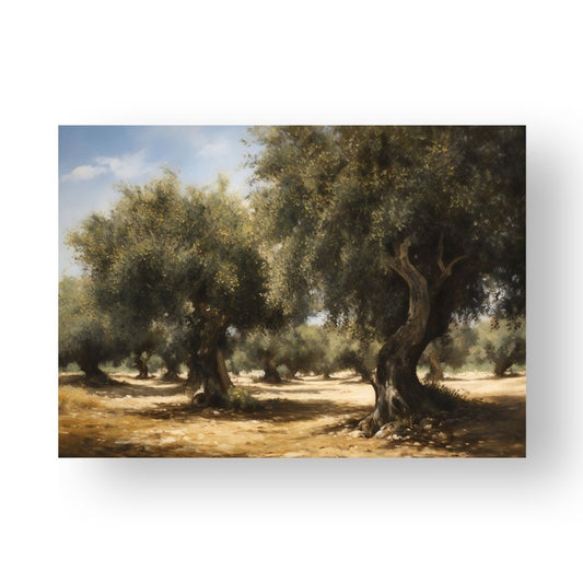 Olive Trees Poster