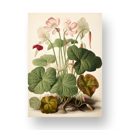 Botanic Poster 8