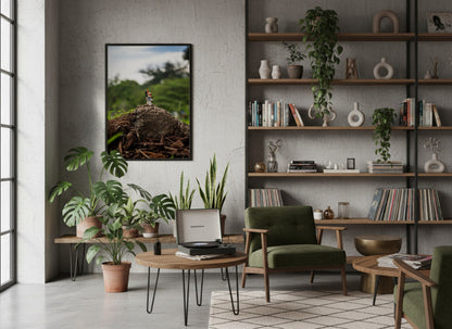 Looking For Landscapes - MF7