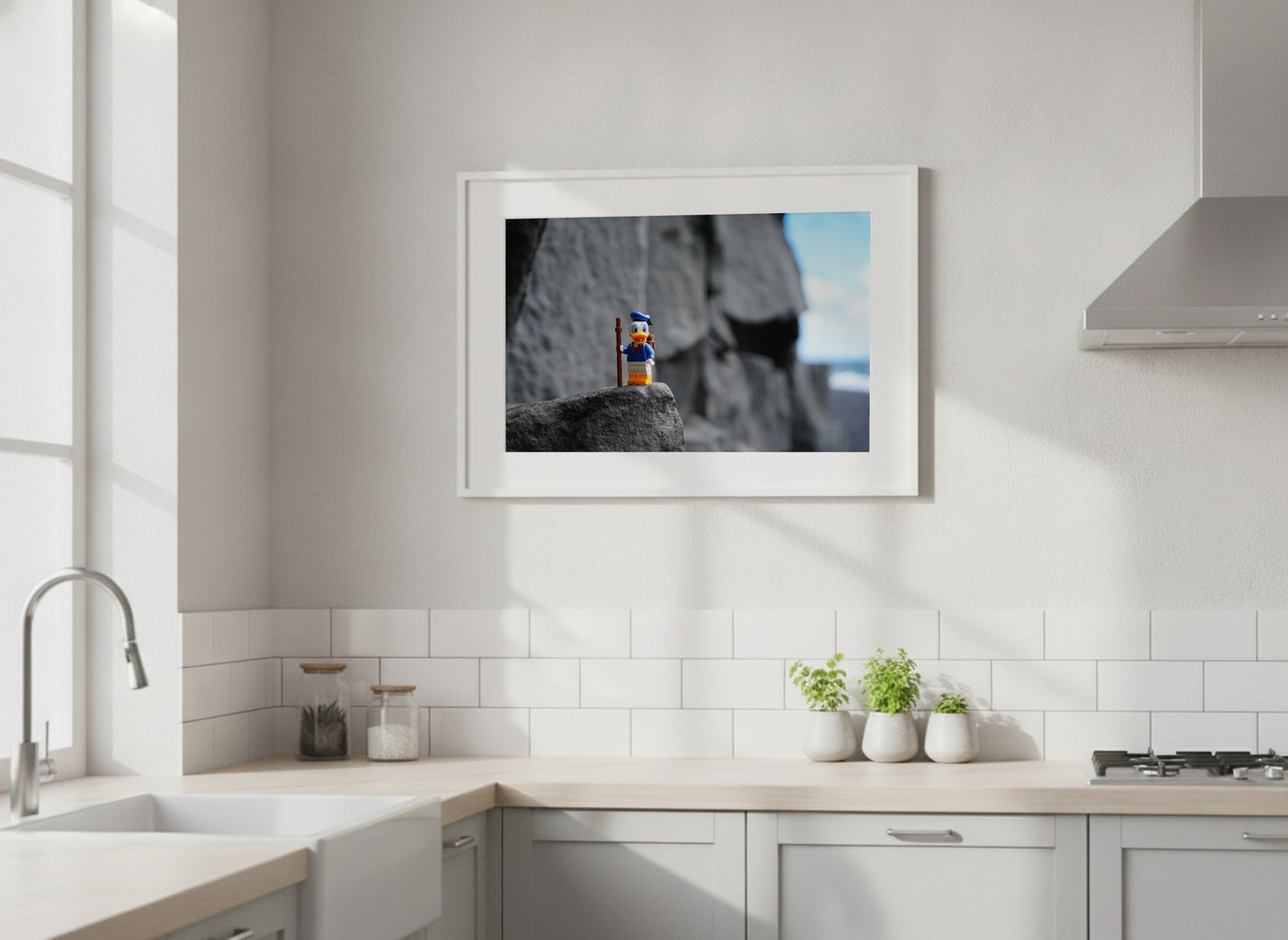 Donald the explorer - ML39