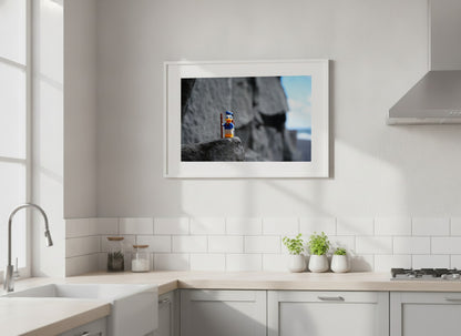 Donald the explorer - ML39