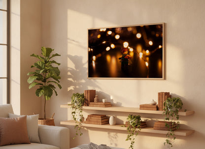 Violinist Fairylights - ML11A