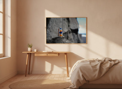 Donald the explorer - ML39