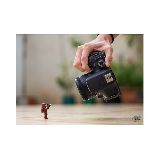 The Tiny Photographer - MF11