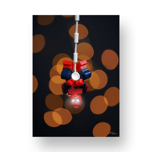 Spidey upside down - ML28