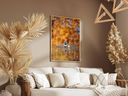 Autumn adventurer - ML20