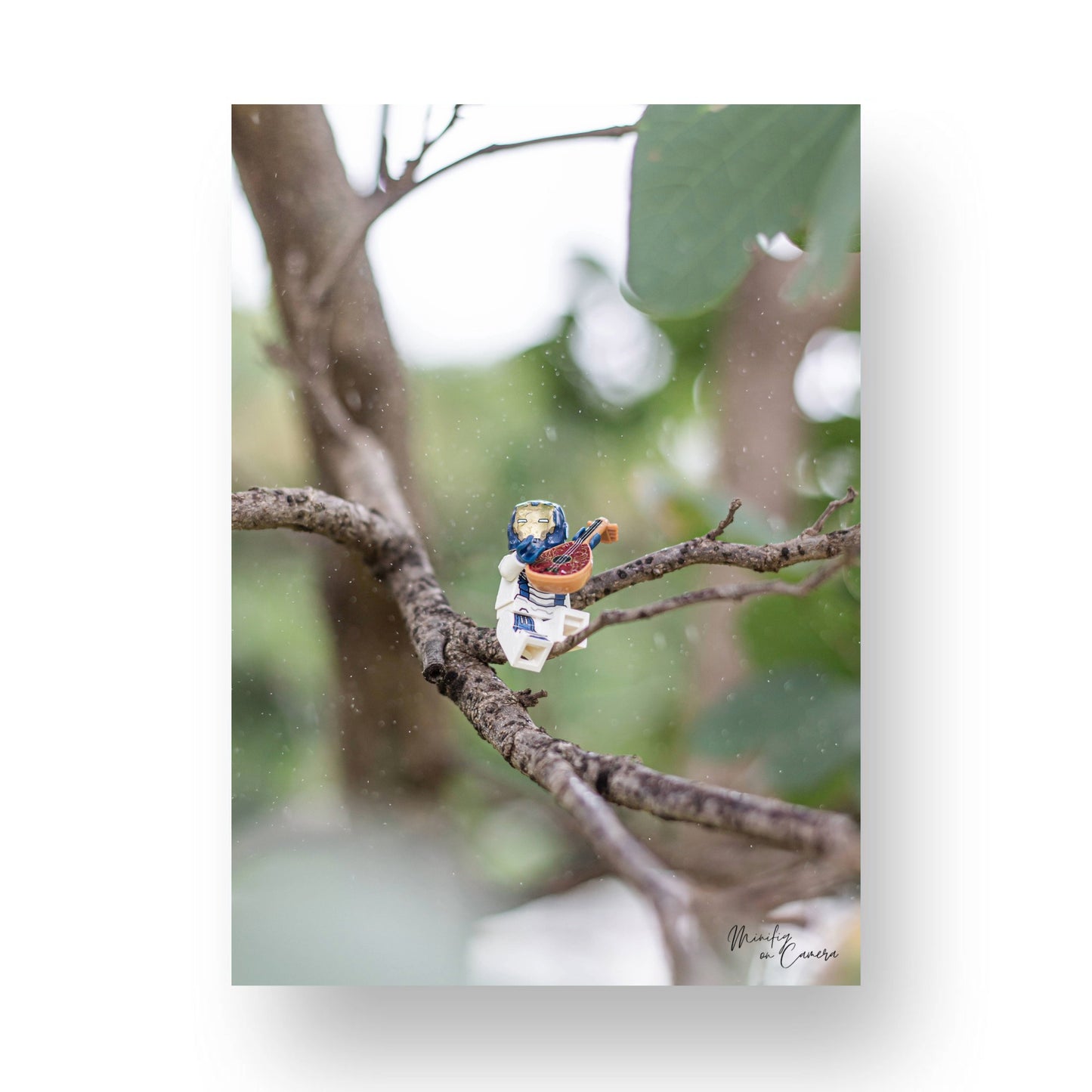 A Snippet in the Rain - MF24