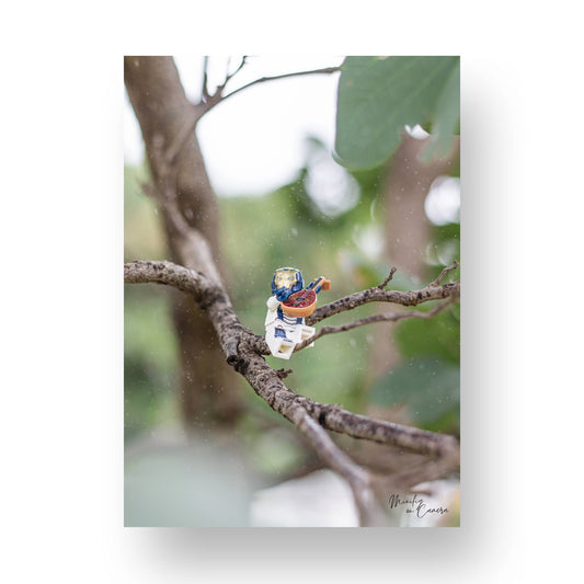 A Snippet in the Rain - MF24