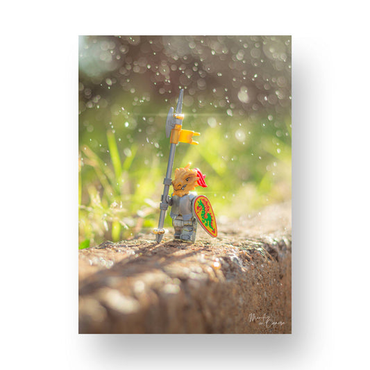 Dragon Master - MF28