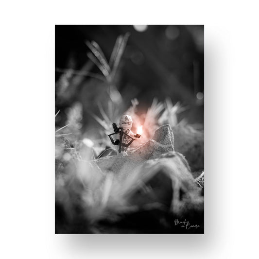 Master of Amber - MF29