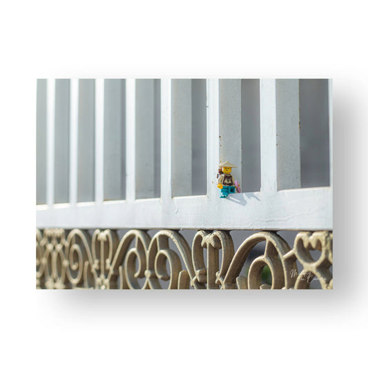 Enjoying the sunset in a cool spot - MF40