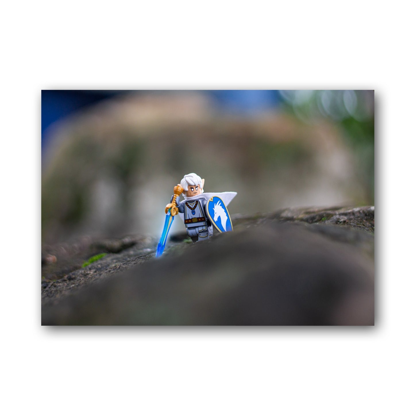 The Elf Paladin - MF16