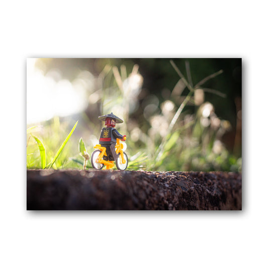 Drix in a Bike - MF55