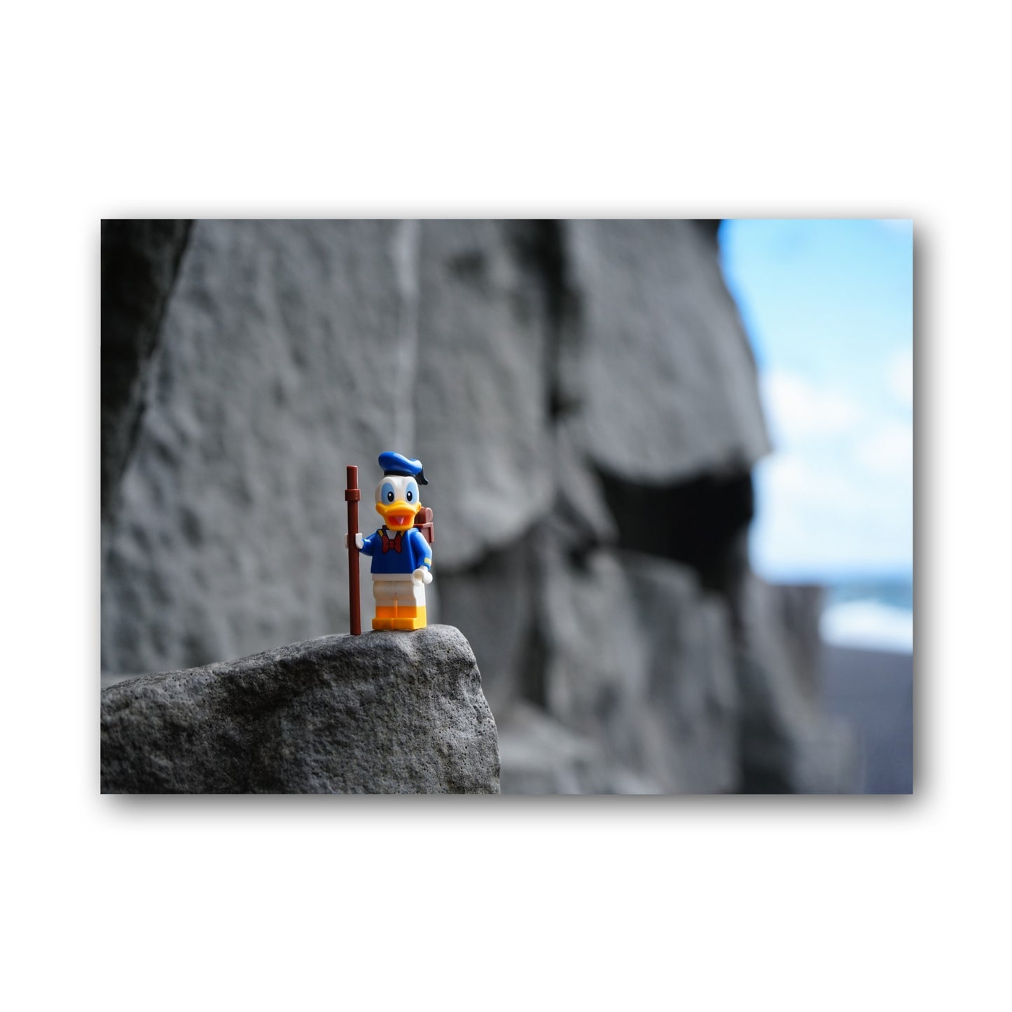 Donald the explorer - ML39