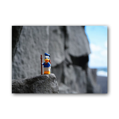 Donald the explorer - ML39