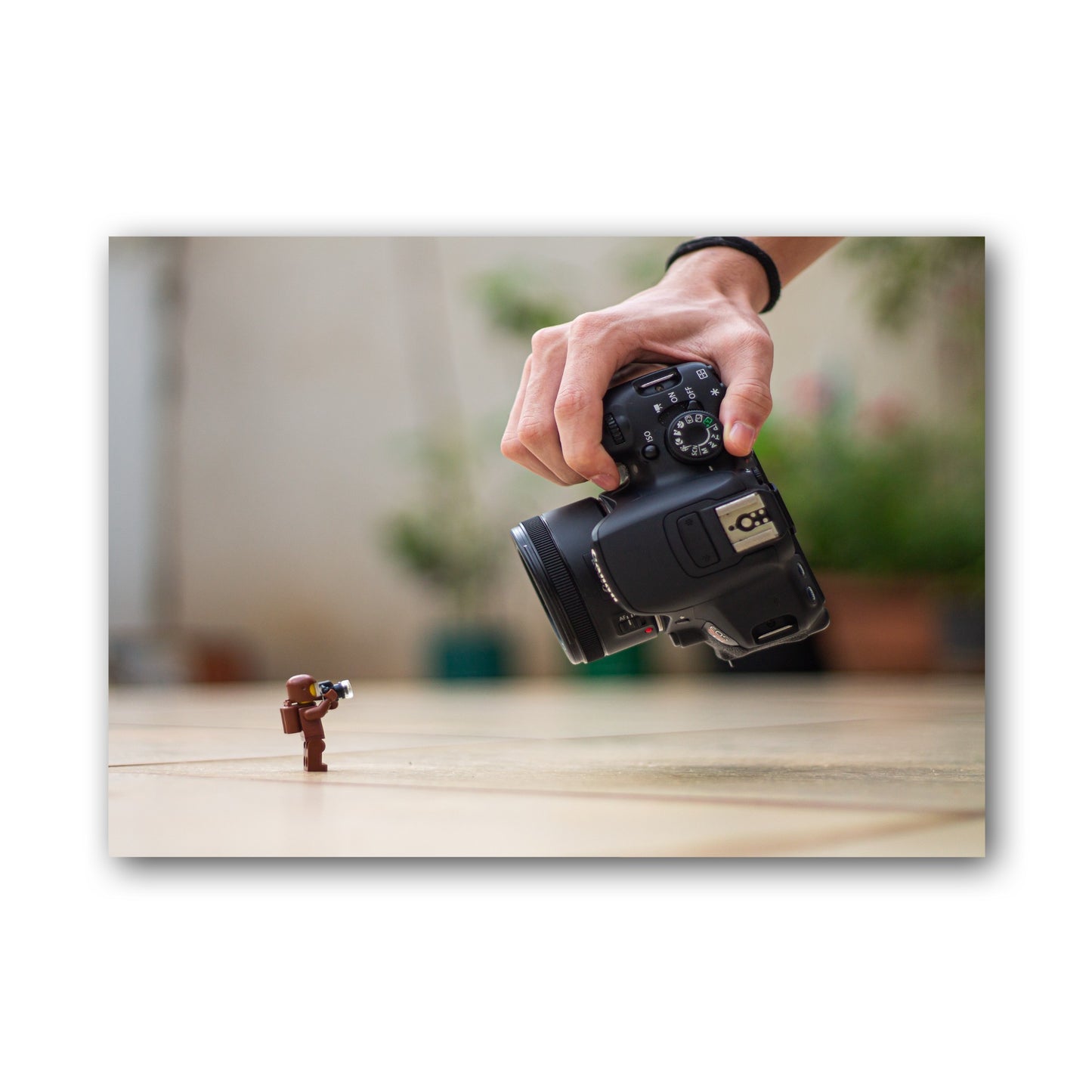 The Tiny Photographer - MF11