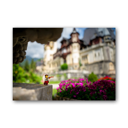 Royal Violinist - ML8