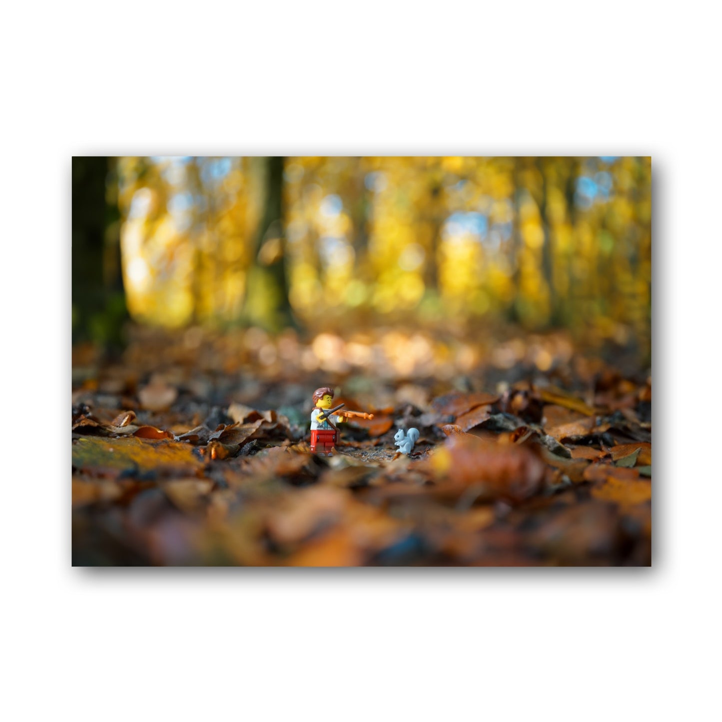 Violinist and Squirrel (enlarged) - ML9B