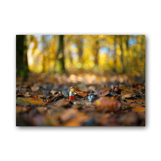 Violinist and Squirrel (enlarged) - ML9B