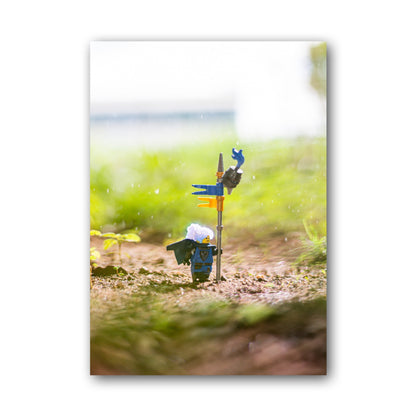 A Sunny Rainy Day - MF22