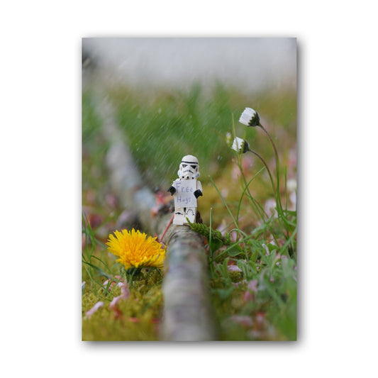 Hugtrooper - ML41