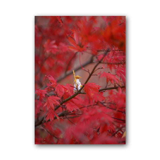 Sensei Wu - ML49B