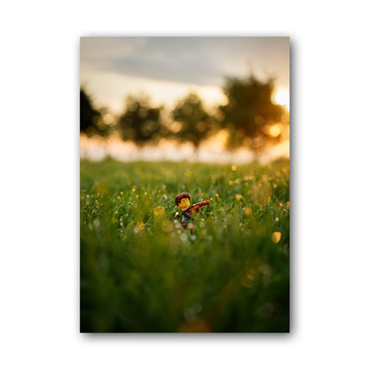 Violinist sunrise (enlarged) - ML3B
