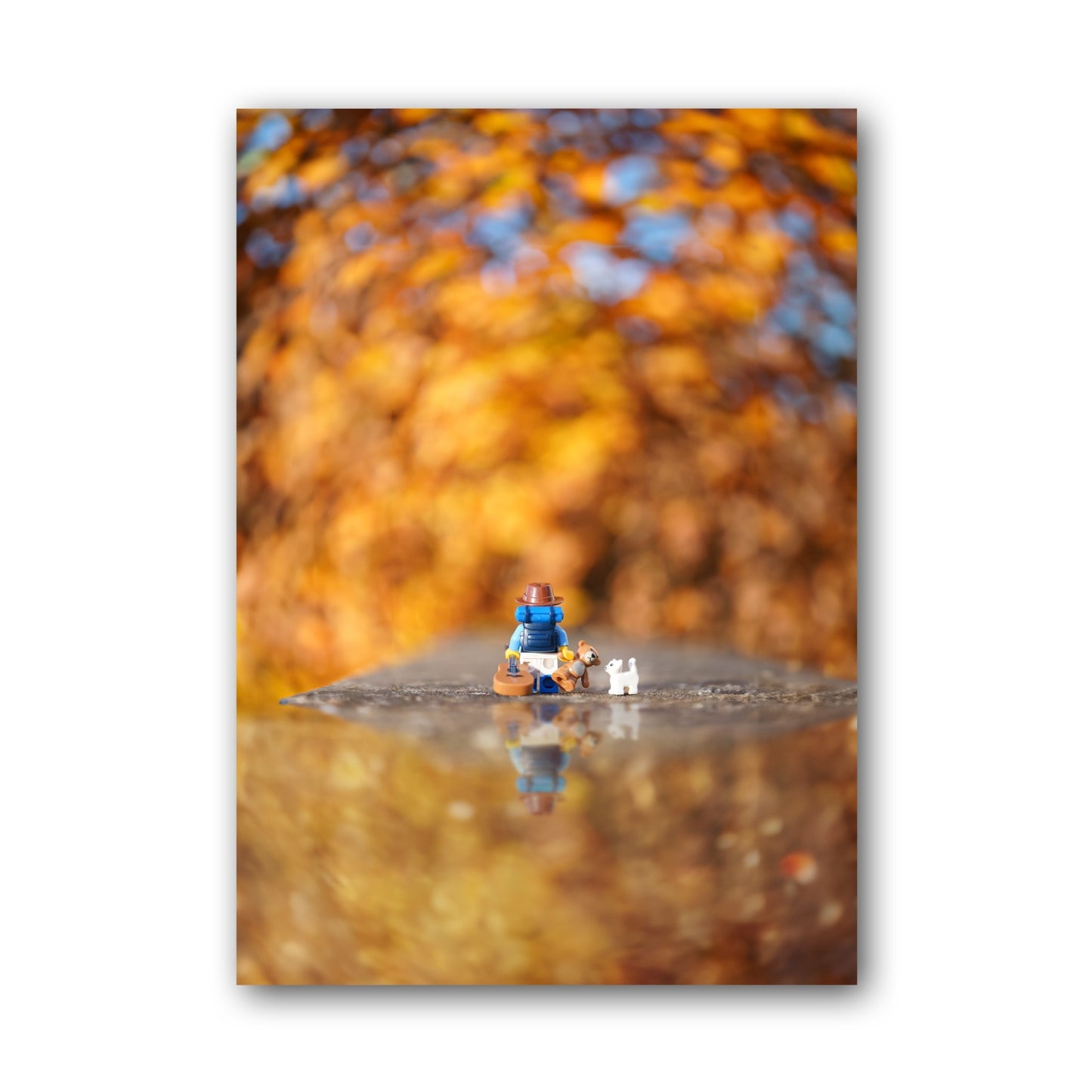 Autumn adventurer - ML20