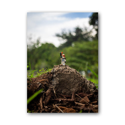 Looking For Landscapes - MF7