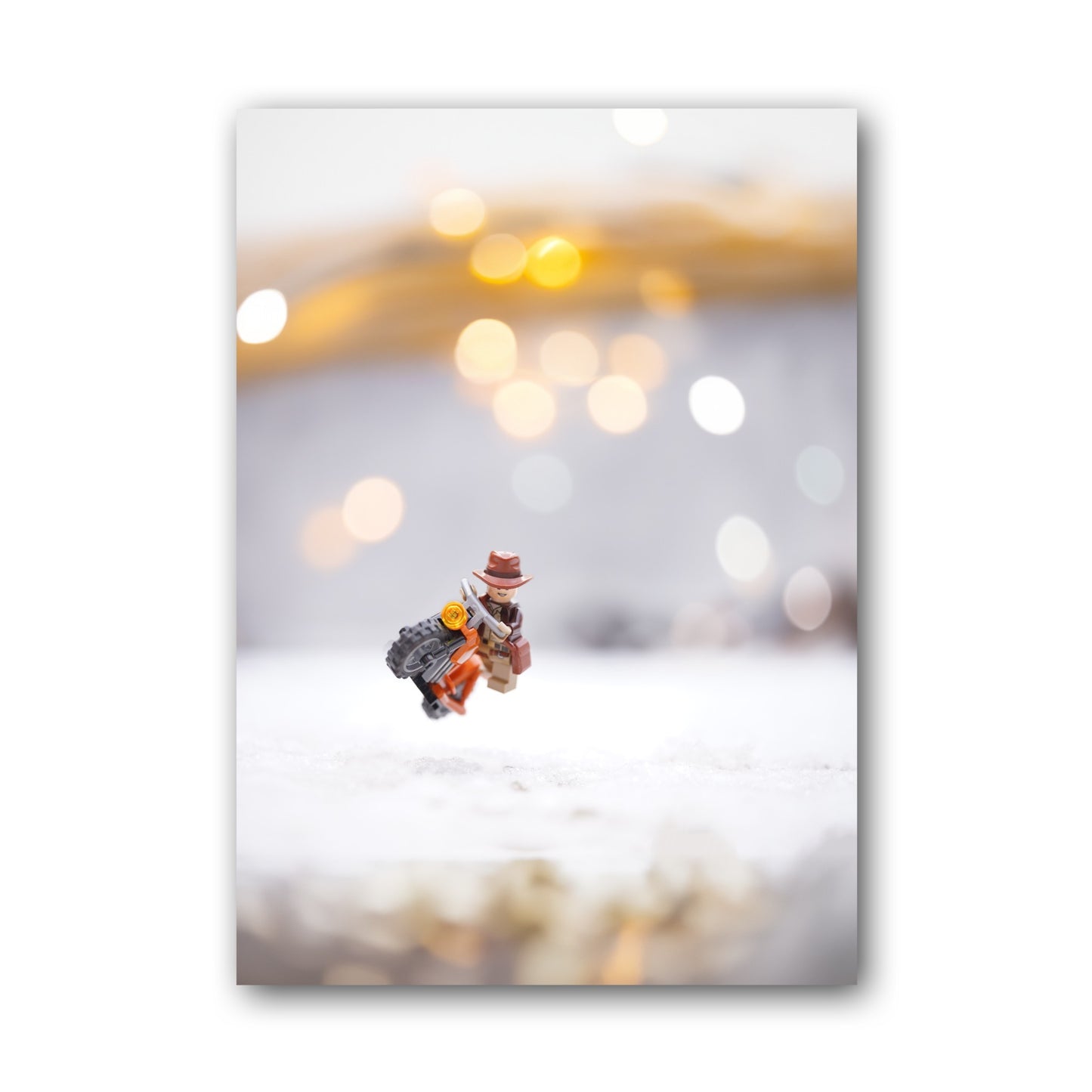 Indiana Jones in the snow - ML48