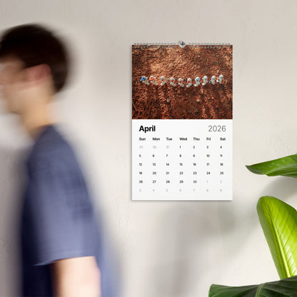 Minifig on Camera - Wall calendar (2026)